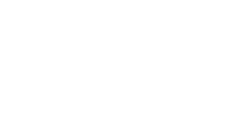 DIVERi